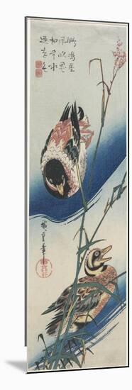 Ducks and Reeds, 1834-1839-Utagawa Hiroshige-Mounted Premium Giclee Print