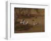 Ducks and Swallows. from an Album of Bird Paintings-Gao Qipei-Framed Giclee Print