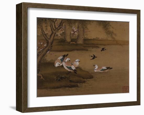 Ducks and Swallows. from an Album of Bird Paintings-Gao Qipei-Framed Giclee Print