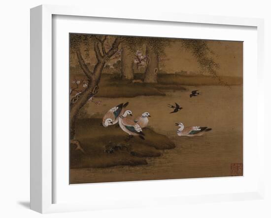 Ducks and Swallows. from an Album of Bird Paintings-Gao Qipei-Framed Giclee Print