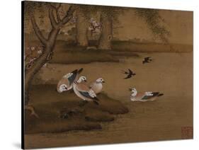 Ducks and Swallows. from an Album of Bird Paintings-Gao Qipei-Stretched Canvas