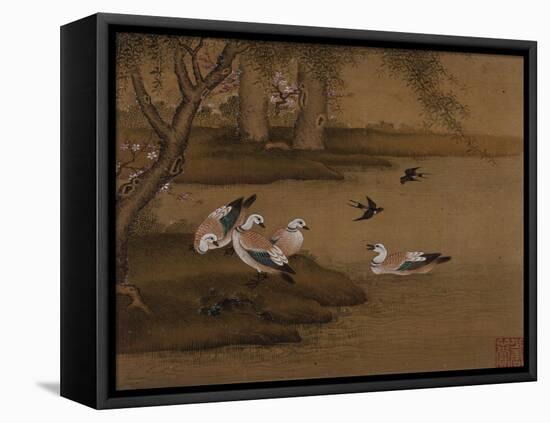 Ducks and Swallows. from an Album of Bird Paintings-Gao Qipei-Framed Stretched Canvas