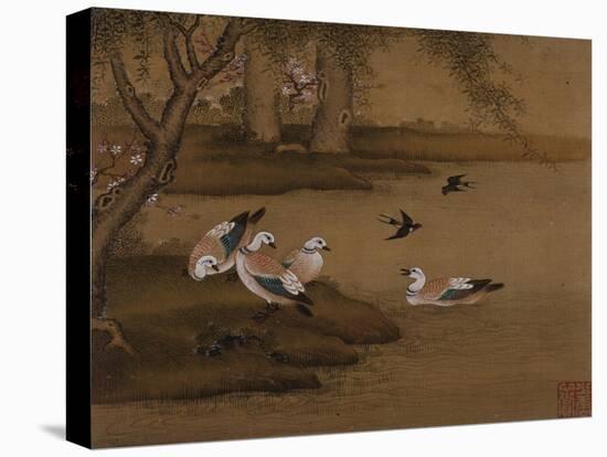 Ducks and Swallows. from an Album of Bird Paintings-Gao Qipei-Stretched Canvas