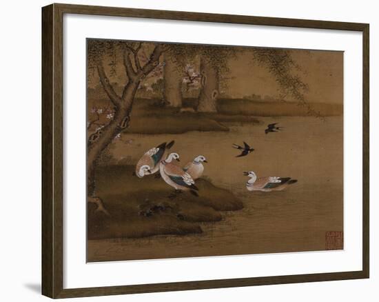 Ducks and Swallows. from an Album of Bird Paintings-Gao Qipei-Framed Giclee Print