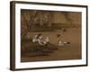 Ducks and Swallows. from an Album of Bird Paintings-Gao Qipei-Framed Giclee Print