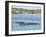 Ducks and Wildlife in Salt Marsh, Florida, USA-Lisa S Engelbrecht-Framed Photographic Print