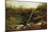 Ducks at a Brook, 1872-Arthur Fitzwilliam Tait-Mounted Giclee Print