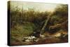 Ducks at a Brook, 1872-Arthur Fitzwilliam Tait-Stretched Canvas