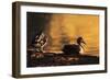 Ducks at Sunrise-FS Studio-Framed Giclee Print