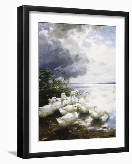 Ducks at the Lake's Edge-Alexander Koester-Framed Giclee Print