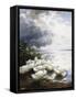 Ducks at the Lake's Edge-Alexander Koester-Framed Stretched Canvas