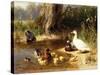 Ducks at the Water's Edge-Carl Jutz-Stretched Canvas
