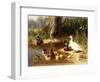 Ducks at the Water's Edge-Carl Jutz-Framed Giclee Print