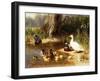 Ducks at the Water's Edge-Carl Jutz-Framed Giclee Print