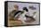 Ducks by a Lake-Archibald Thorburn-Framed Stretched Canvas