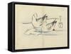 Ducks, C. 1830-Hogyoku-Framed Stretched Canvas