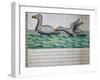 Ducks Called Ploplos-null-Framed Giclee Print