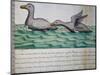 Ducks Called Ploplos-null-Mounted Giclee Print
