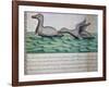 Ducks Called Ploplos-null-Framed Giclee Print