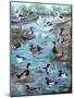 Ducks Card, 2006-Alex Williams-Mounted Giclee Print