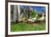 Ducks Escapiing-Robert Goldwitz-Framed Photographic Print