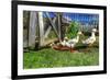 Ducks Escapiing-Robert Goldwitz-Framed Photographic Print