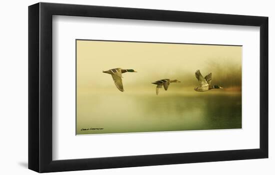Ducks Flying-Carlos Casamayor-Framed Art Print