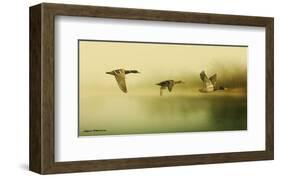 Ducks Flying-Carlos Casamayor-Framed Art Print