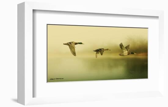 Ducks Flying-Carlos Casamayor-Framed Art Print