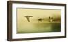 Ducks Flying-Carlos Casamayor-Framed Art Print