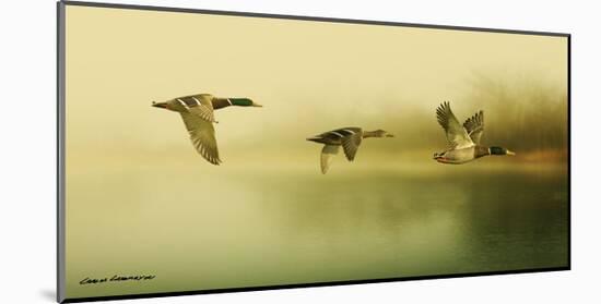 Ducks Flying-Carlos Casamayor-Mounted Art Print