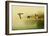 Ducks Flying-Carlos Casamayor-Framed Giclee Print