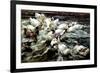 Ducks Gathering-Alexander Koester-Framed Giclee Print