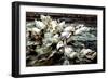 Ducks Gathering-Alexander Koester-Framed Giclee Print