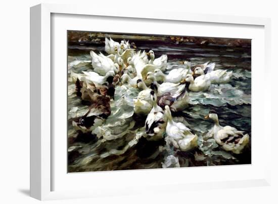 Ducks Gathering-Alexander Koester-Framed Giclee Print