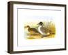 Ducks I-Henry Jones-Framed Premium Giclee Print