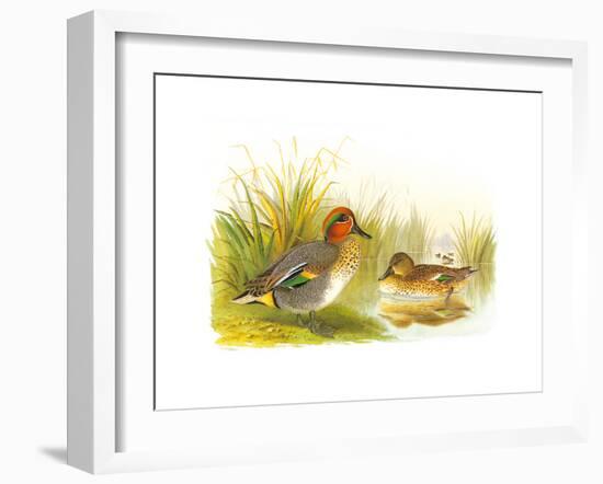 Ducks II-Henry Jones-Framed Premium Giclee Print