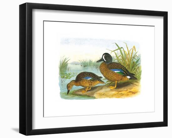 Ducks III-Henry Jones-Framed Premium Giclee Print