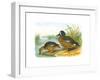 Ducks III-Henry Jones-Framed Premium Giclee Print