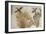 Ducks in a Papyrus Swamp, from Tell el-Amarna-null-Framed Giclee Print