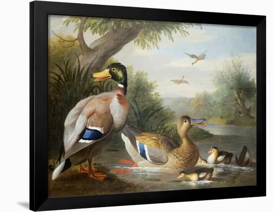 Ducks in a River Landscape-Jakob Bogdani Or Bogdany-Framed Giclee Print