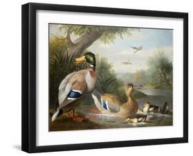 Ducks in a River Landscape-Jakob Bogdani Or Bogdany-Framed Giclee Print