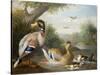 Ducks in a River Landscape-Jakob Bogdani Or Bogdany-Stretched Canvas