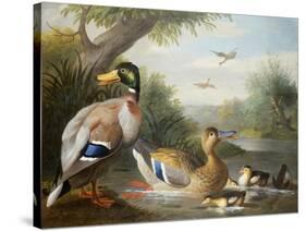 Ducks in a River Landscape-Jakob Bogdani Or Bogdany-Stretched Canvas