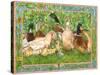 Ducks in a Row-Wendy Edelson-Stretched Canvas