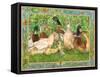 Ducks in a Row-Wendy Edelson-Framed Stretched Canvas