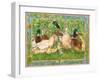 Ducks in a Row-Wendy Edelson-Framed Giclee Print