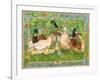 Ducks in a Row-Wendy Edelson-Framed Giclee Print