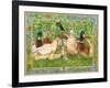 Ducks in a Row-Wendy Edelson-Framed Giclee Print