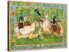 Ducks in a Row-Wendy Edelson-Stretched Canvas